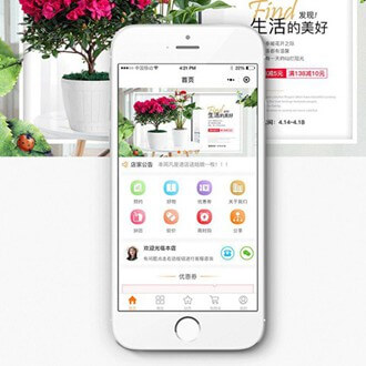 碧江区门店微商城小程序开发