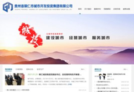 碧江区城市开发投资集团有限公司